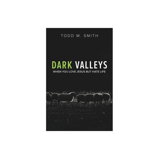 Dark Valleys When You Love Jesus but Hate Life by Todd M Smith