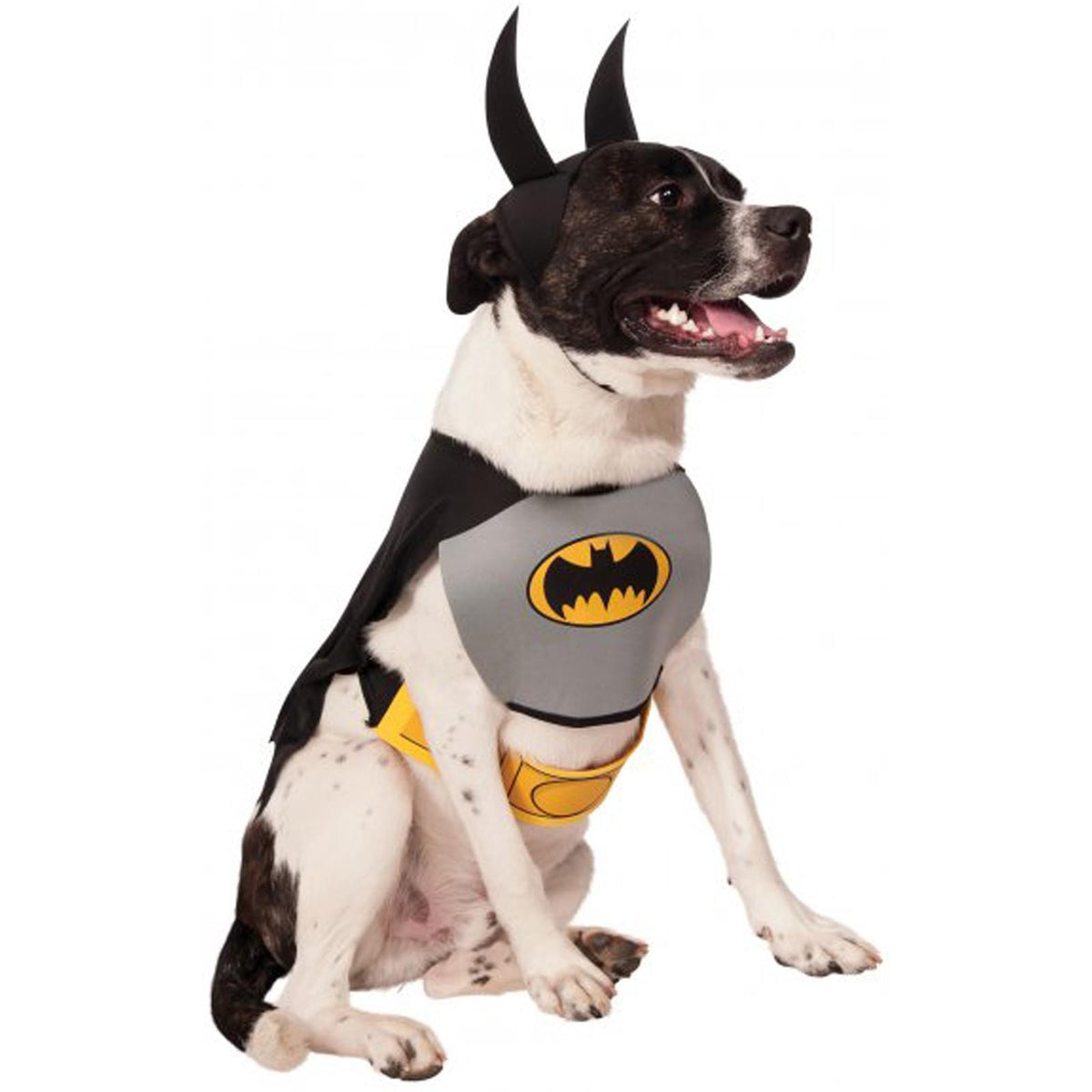 Batman Pet Costume - DC Comics