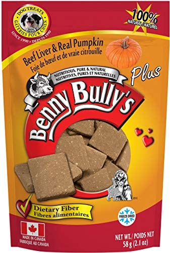 Benny Bully'S Plus Pumkin Dog and Cat Treat 58g