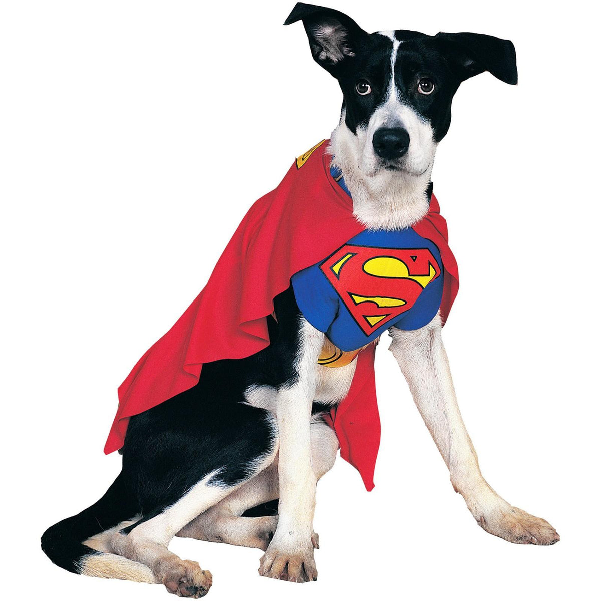 DC Comics Superman Pet Costume Accessory Set for Dogs