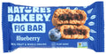 Natures Bakery Stone Ground Whole Wheat Fig Bar- Blueberry - 2 Ounce