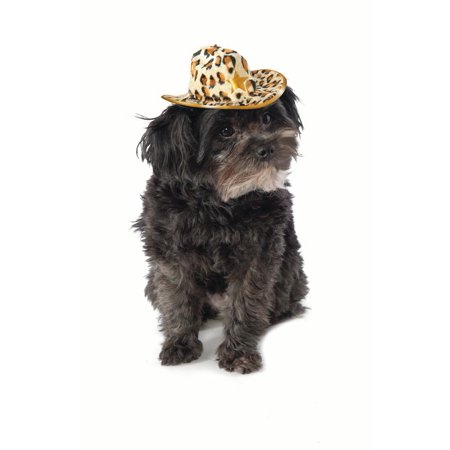 Pet  Leopard Cowboy Hat
