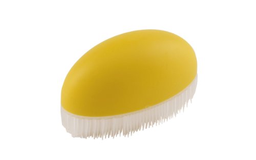 Corn Brush