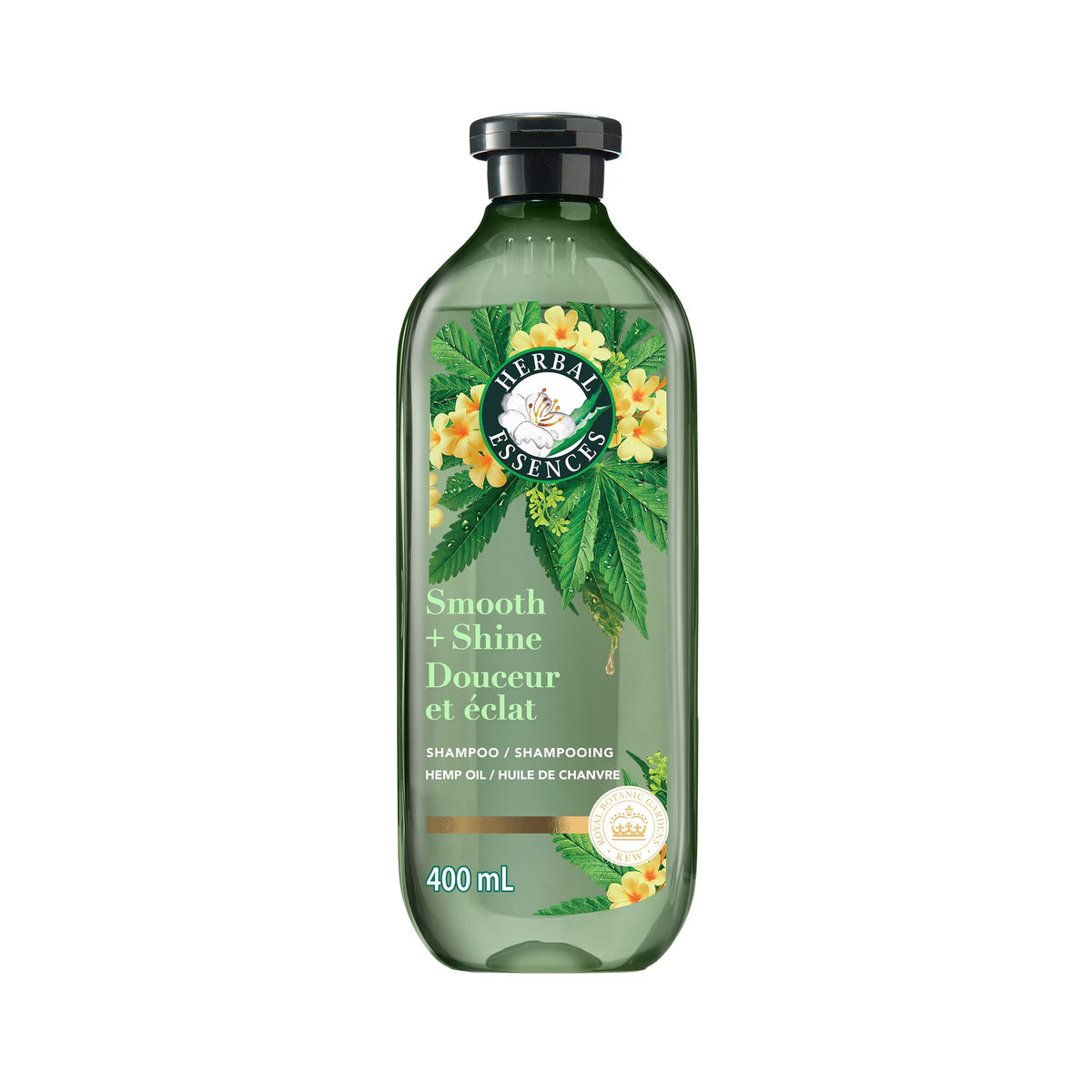 HChoice Camellia Seed Oil Shampoo 400ml