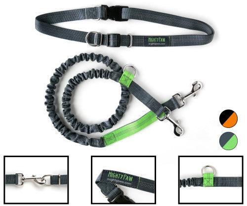 Mighty Paw Hands Free Dog Leash