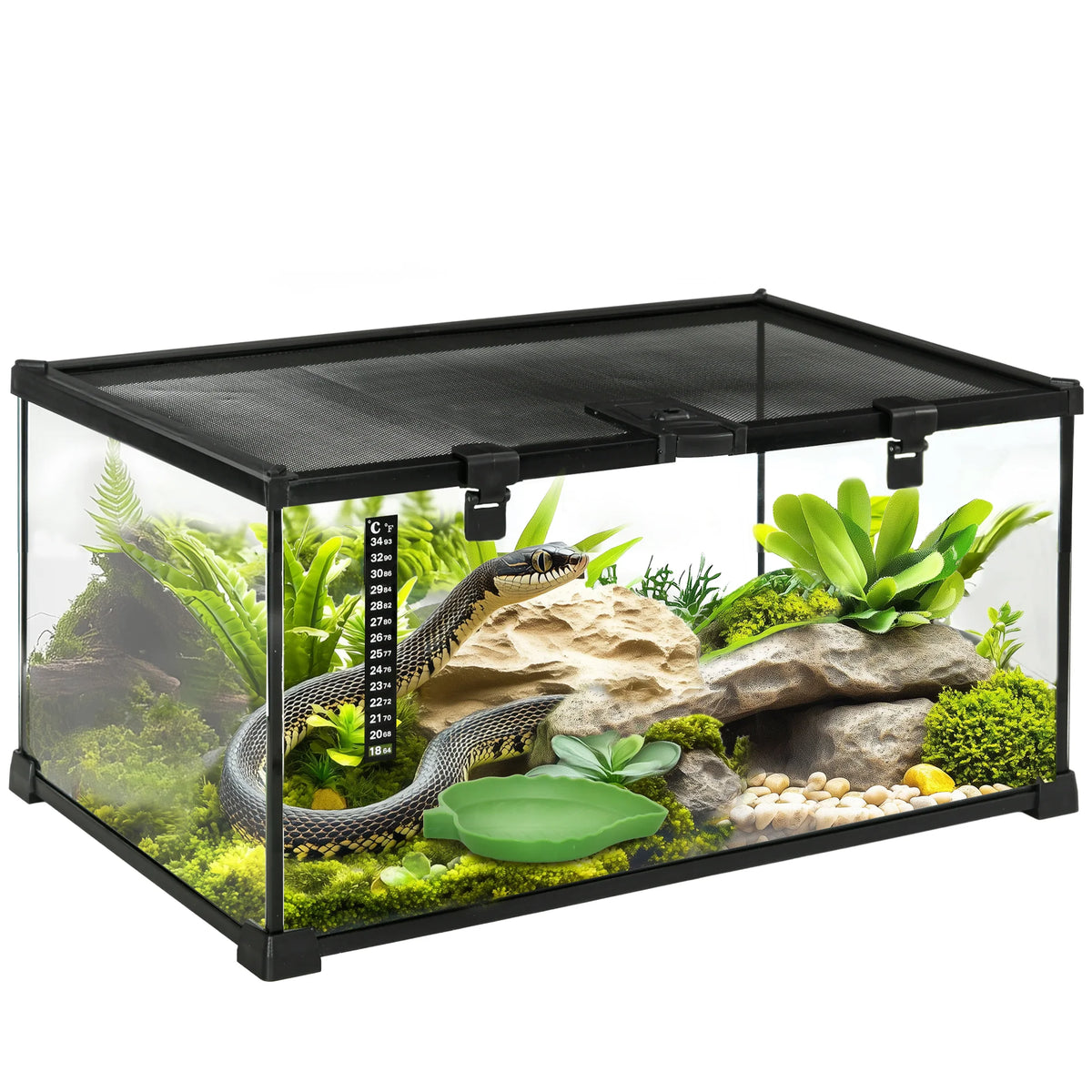 Reptile Terrarium