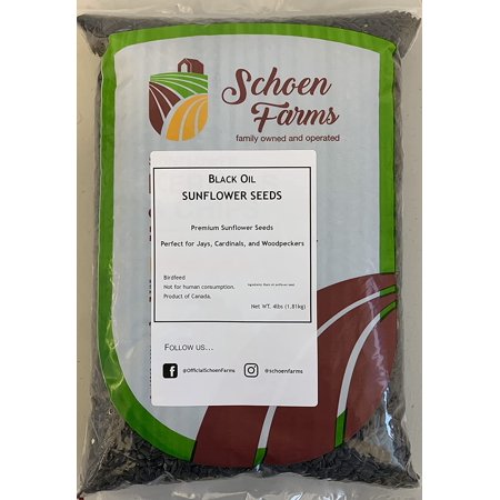 Schoen Farms Black Oil Sunflower Seeds for Birds, (5 Pound)