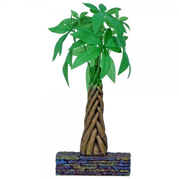 Marina Betta Kit Money Tree Ornament