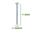 Lag Screws 1/4 x 3"