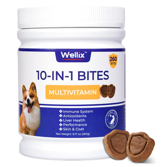 260 Bites Wellix 10-in-1 Dog Vitamins - Delicious Multivitamin for Dogs