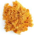Danson Decor Curly Moss Gift Filler