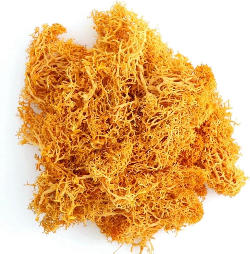Danson Decor Curly Moss Gift Filler