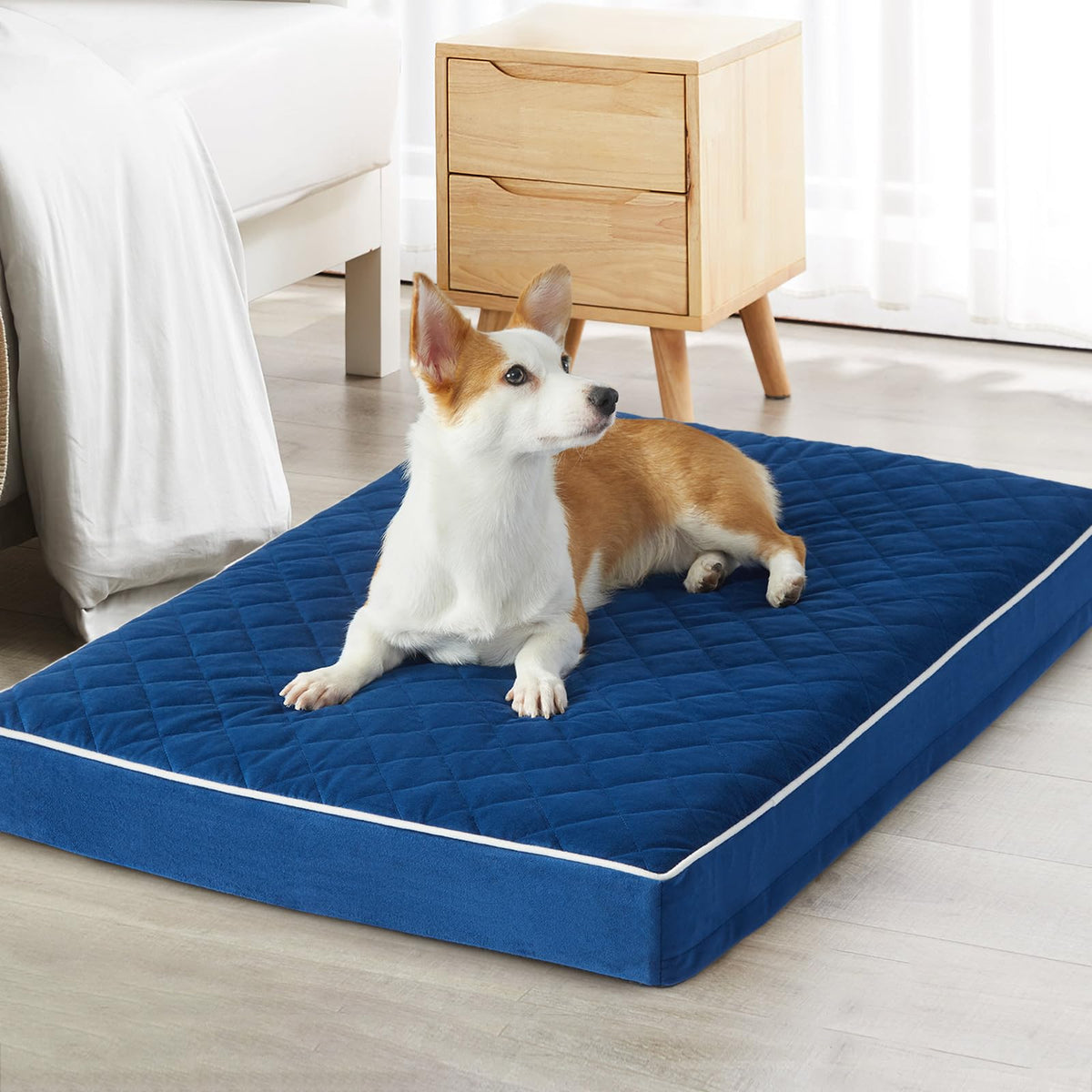 WNPETHOME Orthopedic Dog Beds for Medium Dogs, Large Waterproof Dog Bed with Removable Washable Cover & Anti-Slip Bottom, Multi-Needle Quilting XL Pet Bed