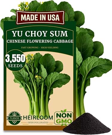 Yu Choy, Chinese Flowering Cabbage Seeds