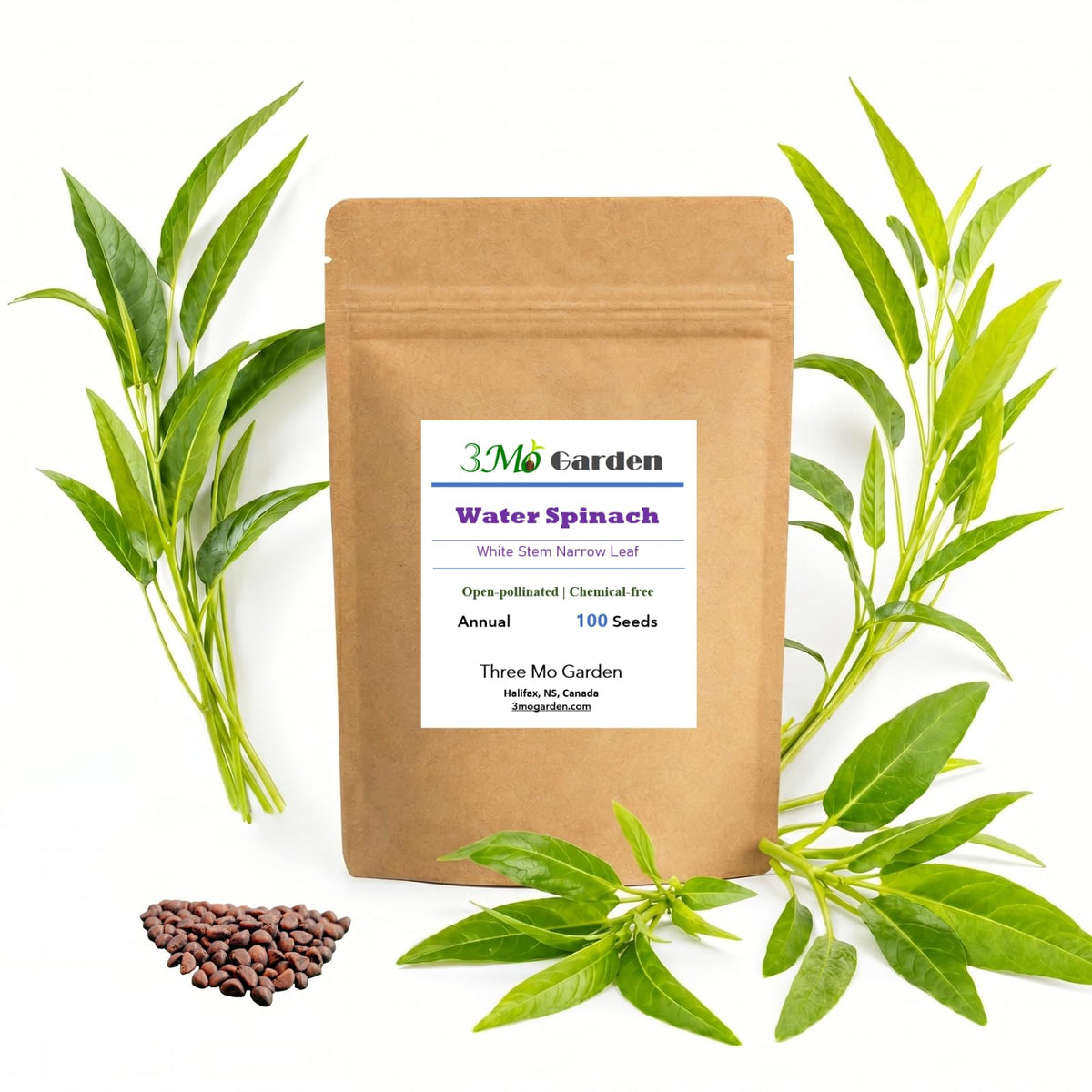 Triple-stem water spinach seeds