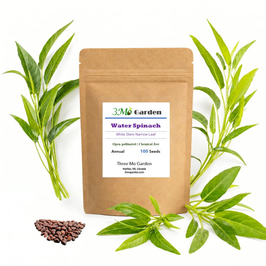 Triple-stem water spinach seeds