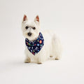 Pet Jammies for Your Families Get Your Jingle on Pet Bandana, Size: Large-XL, Dark Blue