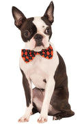 Rubie S Halloween Argyle Bowtie L/XL