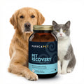 PURICA Pet Recovery Extra Strength, 120 Chewable Tablets – Advanced Hip & Joint Supplement for Dogs & Cats with Glucosamine HCl, MSM, L-Lysine, Boswellia & Vitamin E – Supports Mobility & Senior Pets