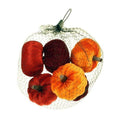Assorted Pumpkins