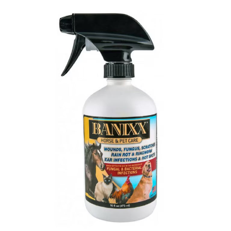Banixx Horse and Pet Care 16 Oz