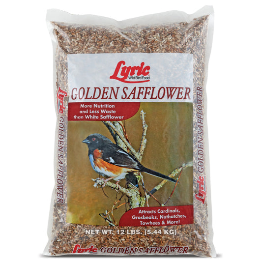 Safflower Seed