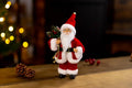 Santa Claus Ornament