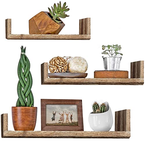 Halter Rectangle Wood Floating Shelves 15.75 X 4 Brown