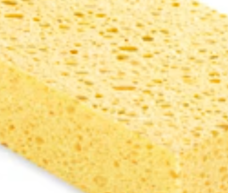Cellulose Sponge