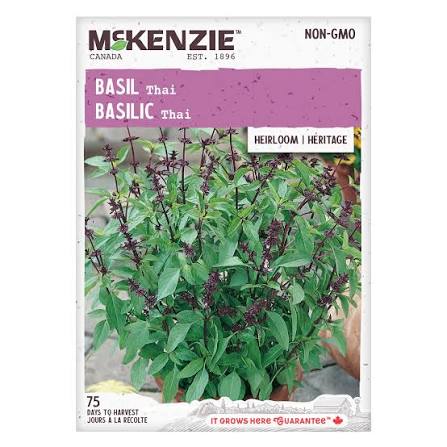 Thai basil seeds
