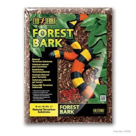 Reptile Tree Bark
